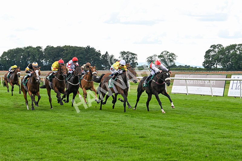 170724-Race 5-Abruzzo Mia-0233 - Race 5