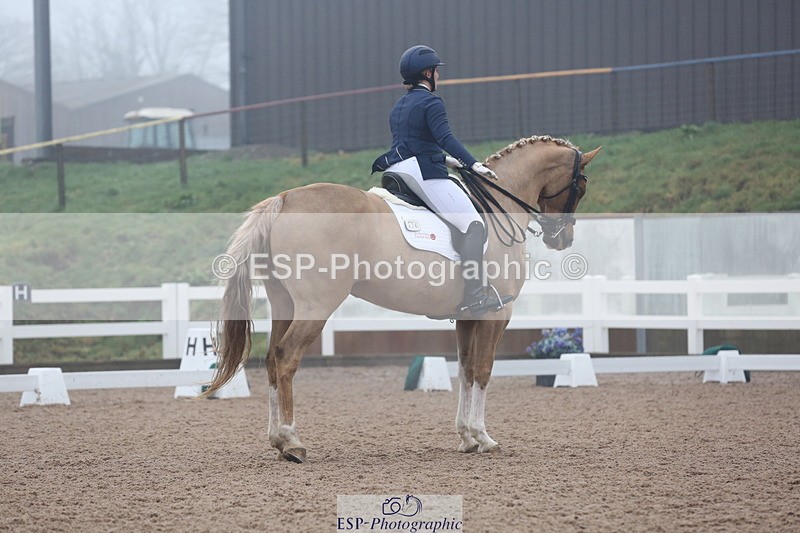 240217A-123648-02930 - 274-Clare.Smith-Dori.Dragon.Fly