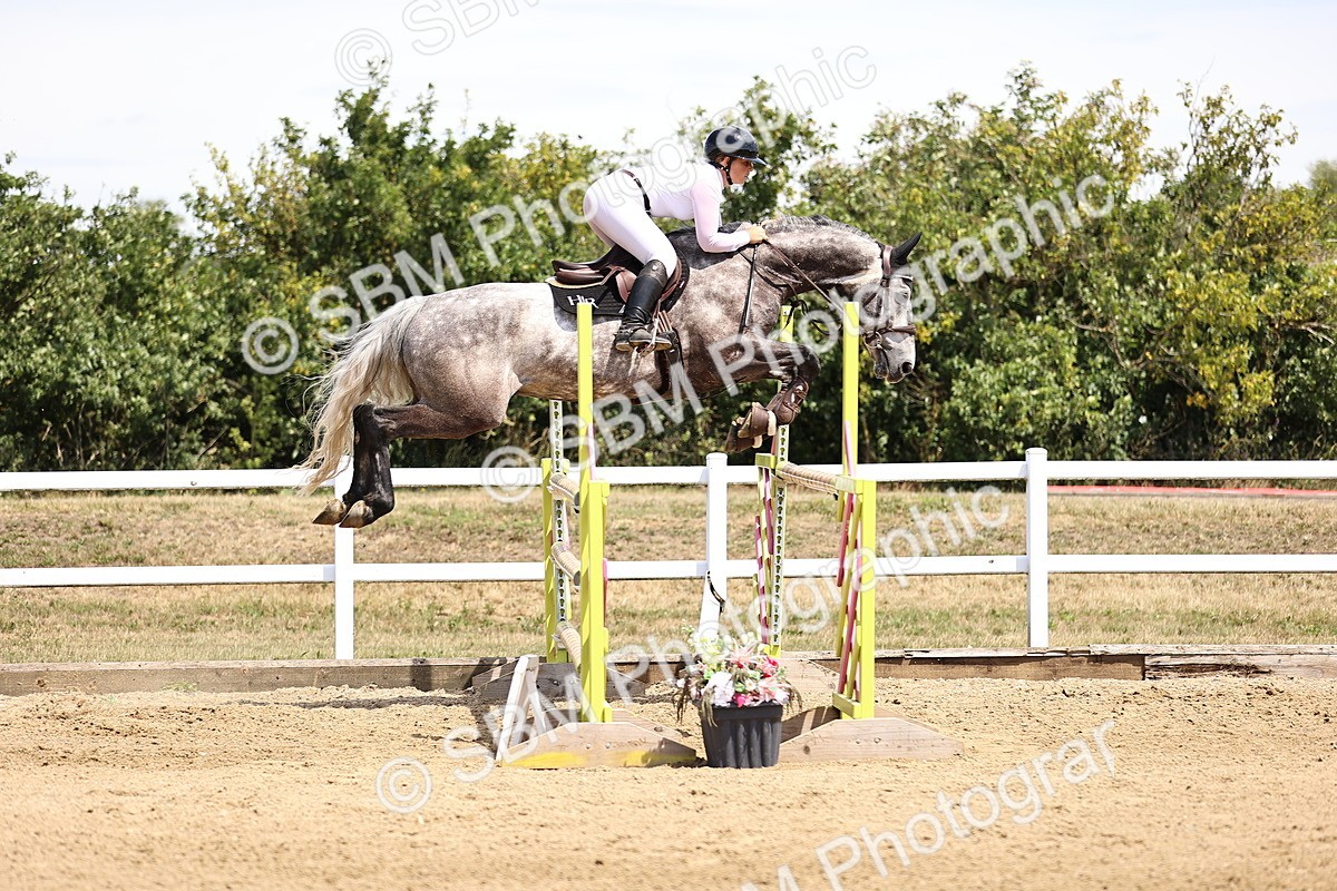SBM_010267 - Class 9 - Senior Foxhunter - 1.20m Open