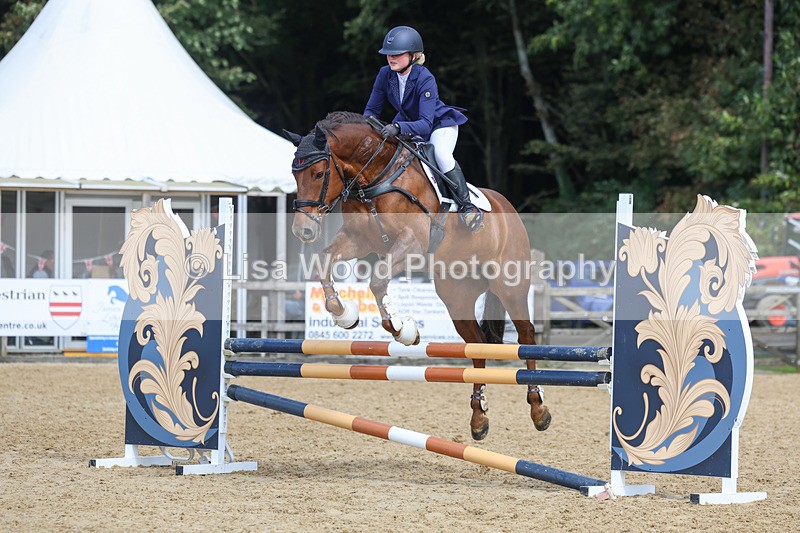 3E7A9330 - Class 9: Senior British Novice/90cm open