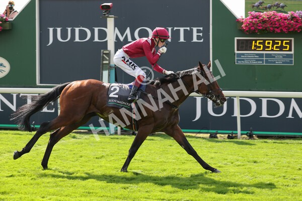 yr18082021r4-85 - Race 4 3.35pm Juddmonte International Stakes (British Champion Series race)