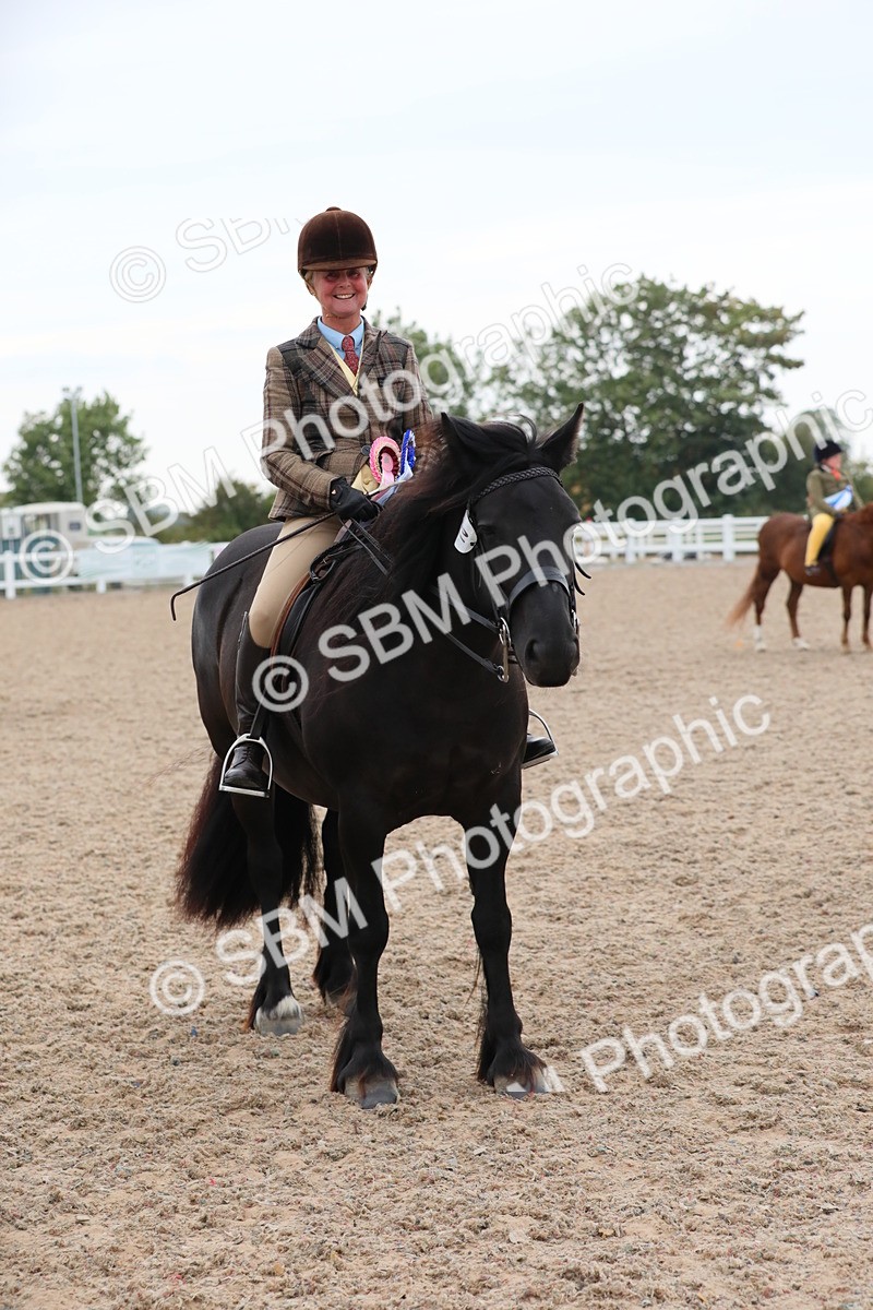 SBM_18251 - Class 316 Best Pony/Rider Combination