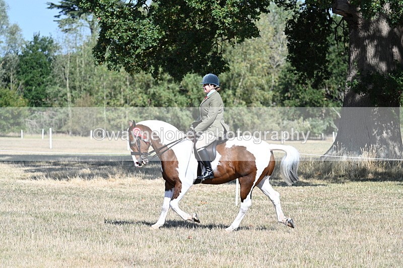 WJ7_3235 - Class 8 Ridden Tack & Turnout