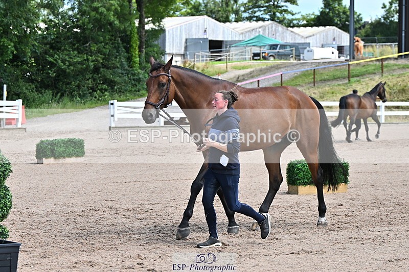 240718A-105250-01227 - Trot Up 12pm to 1pm
