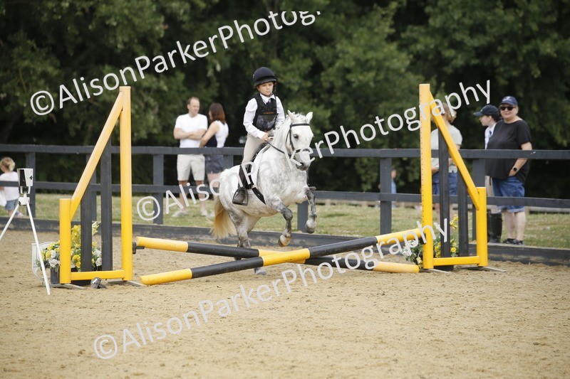 20250622-1516 - 40cm