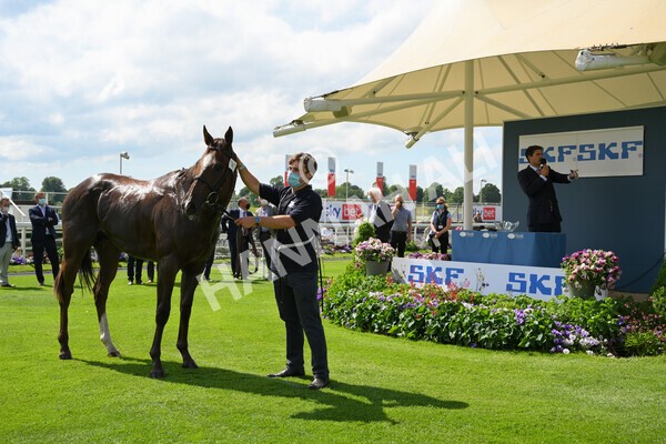 yr11062021r3-56 - Race 3 2.55pm SKF Rous Selling Stakes