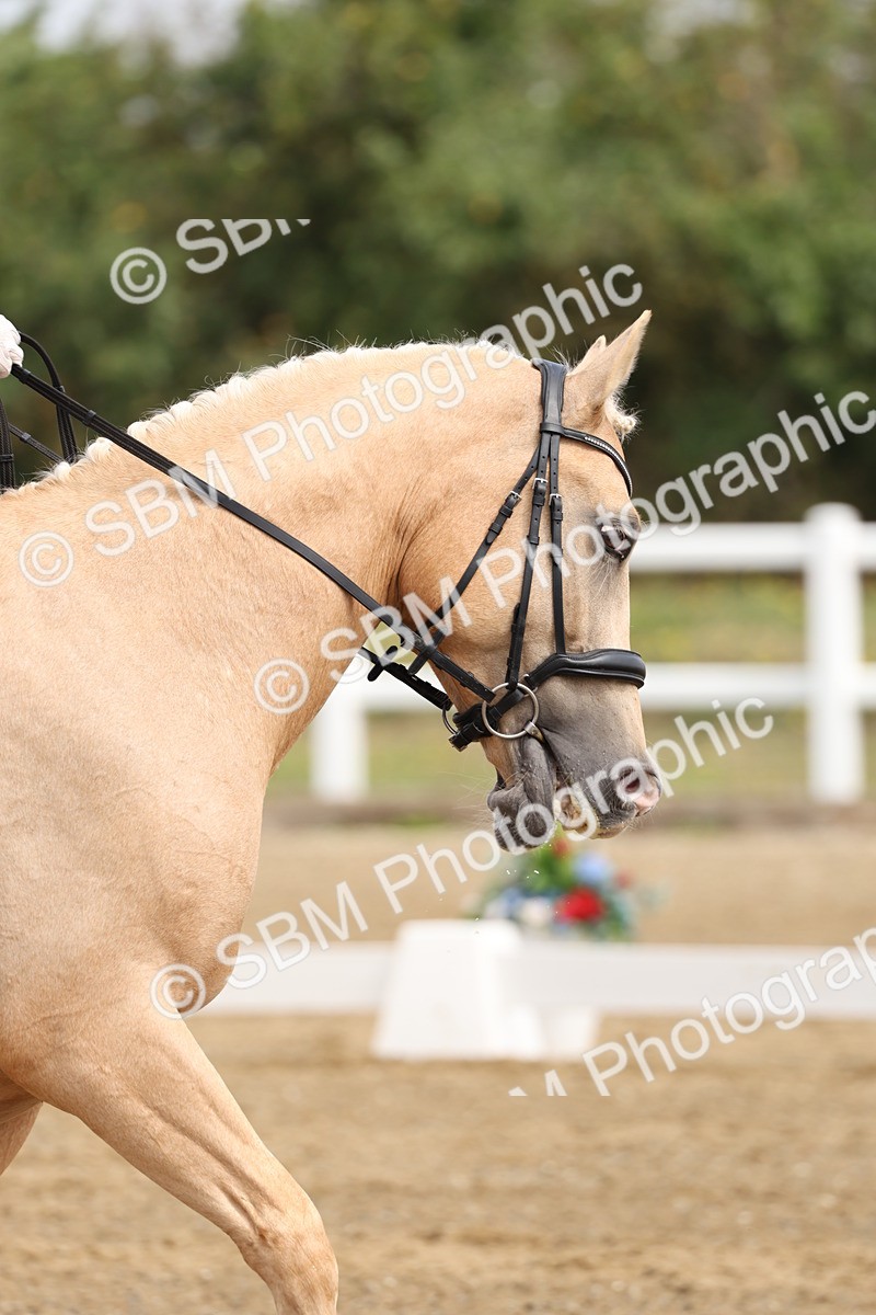 SBM_005821 - Class 6 - Novice 6 - 10.26-11.29