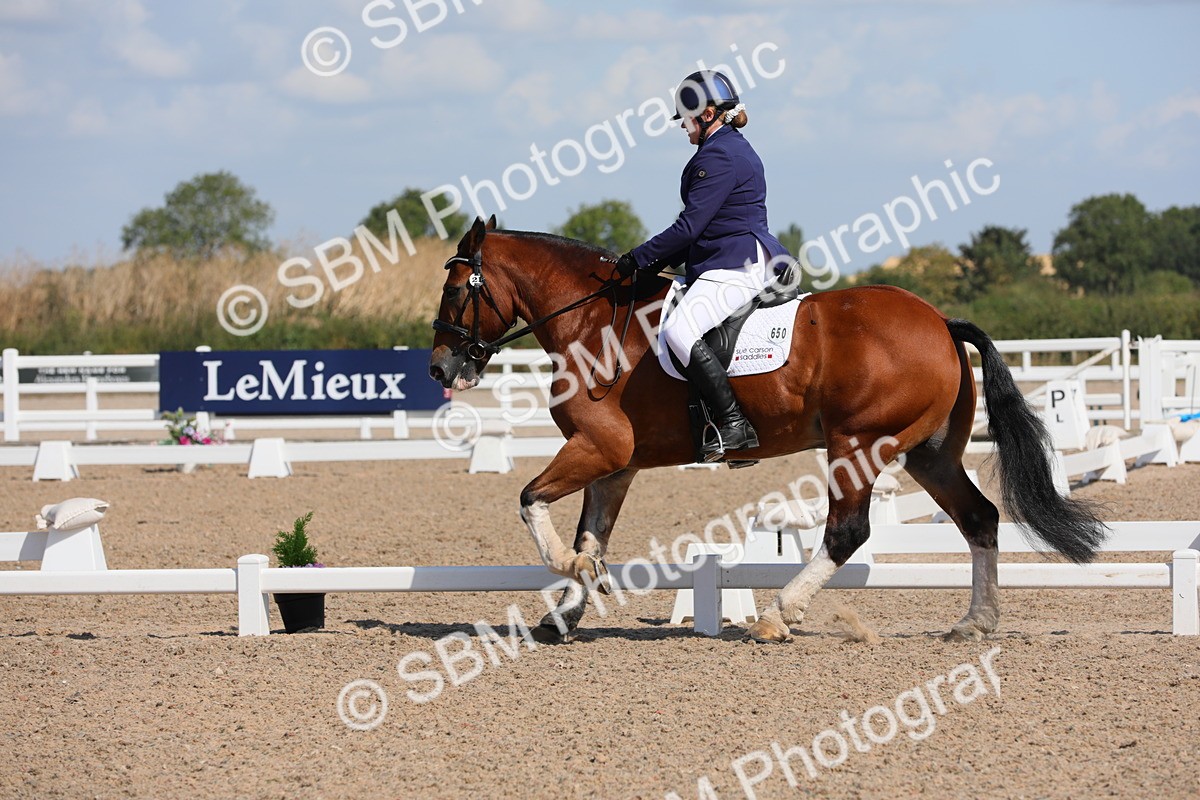 SBM_03838