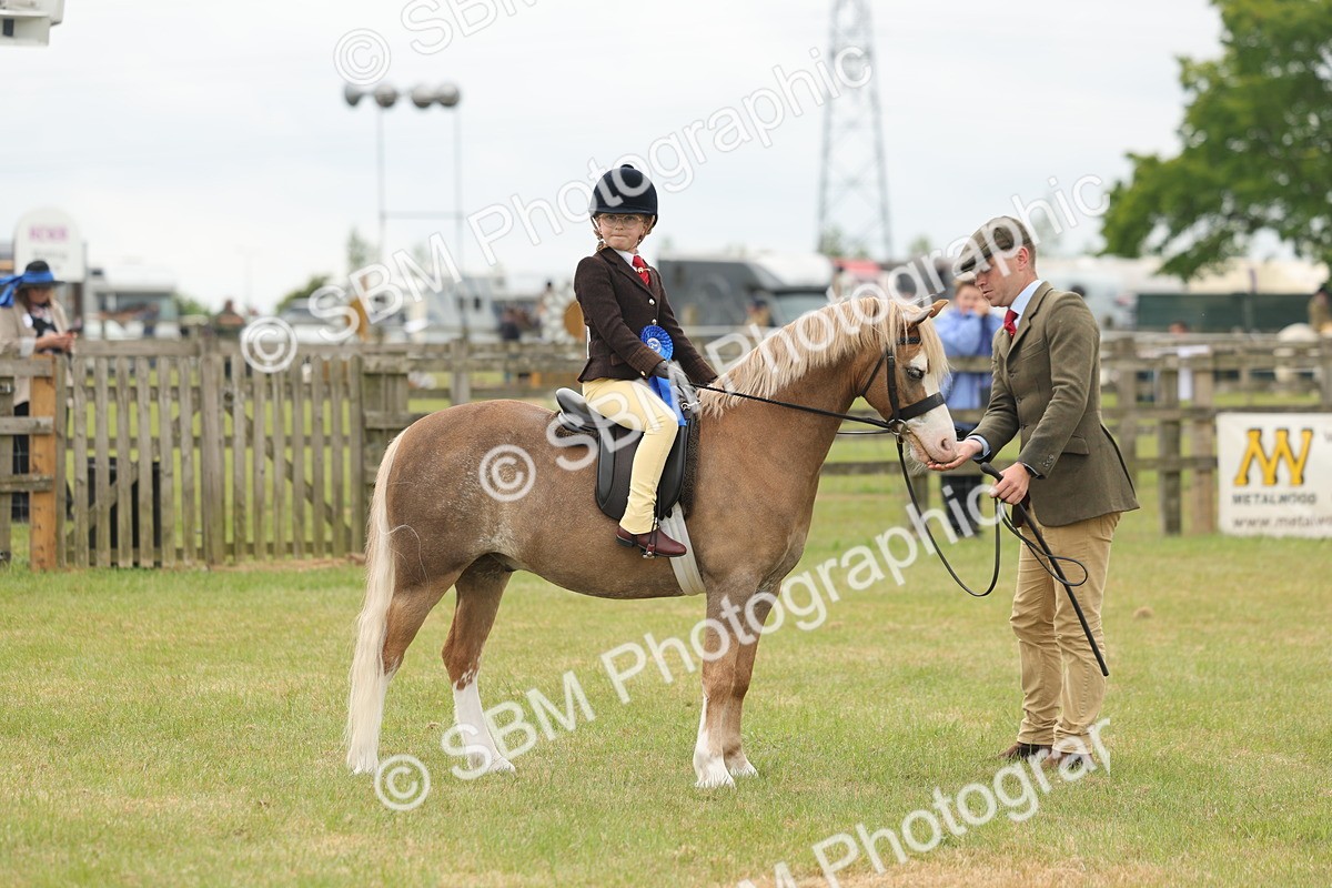 SBM_06944 - Class 74-75 - M&M Lead Rein and First Ridden Pony
