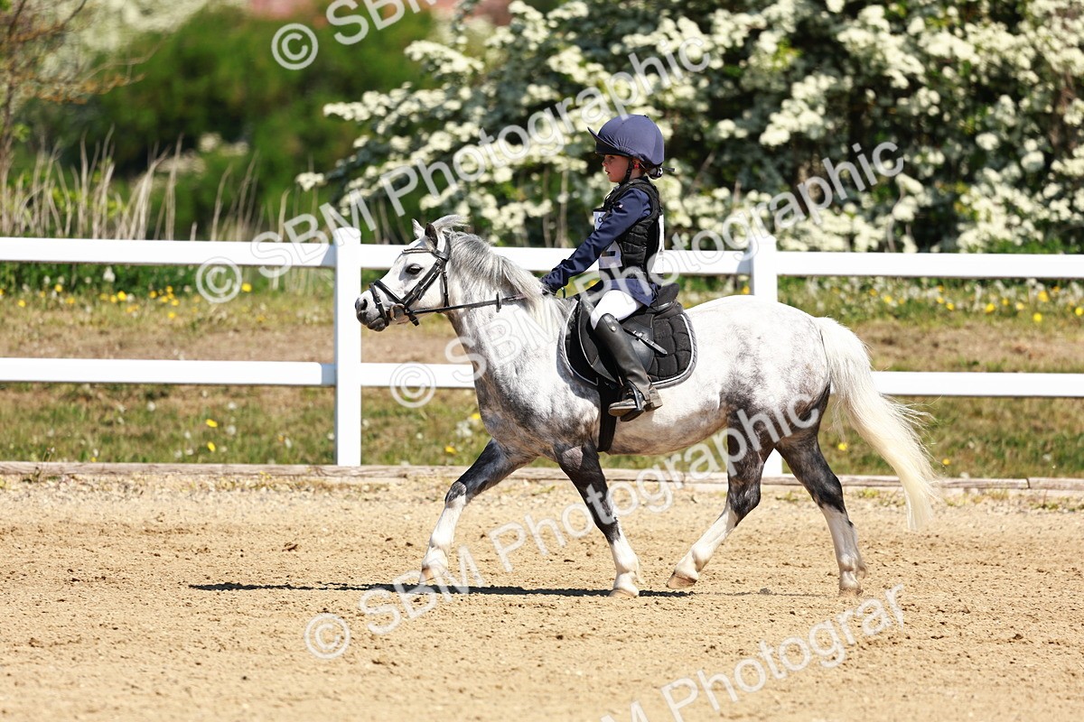 SBM_007271 - Class 3 - 60cm