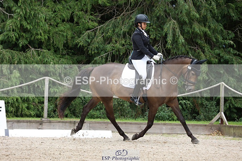 230812-143533-04451 - Cls 5 Novice Bronze 13.40 to 14.45 break