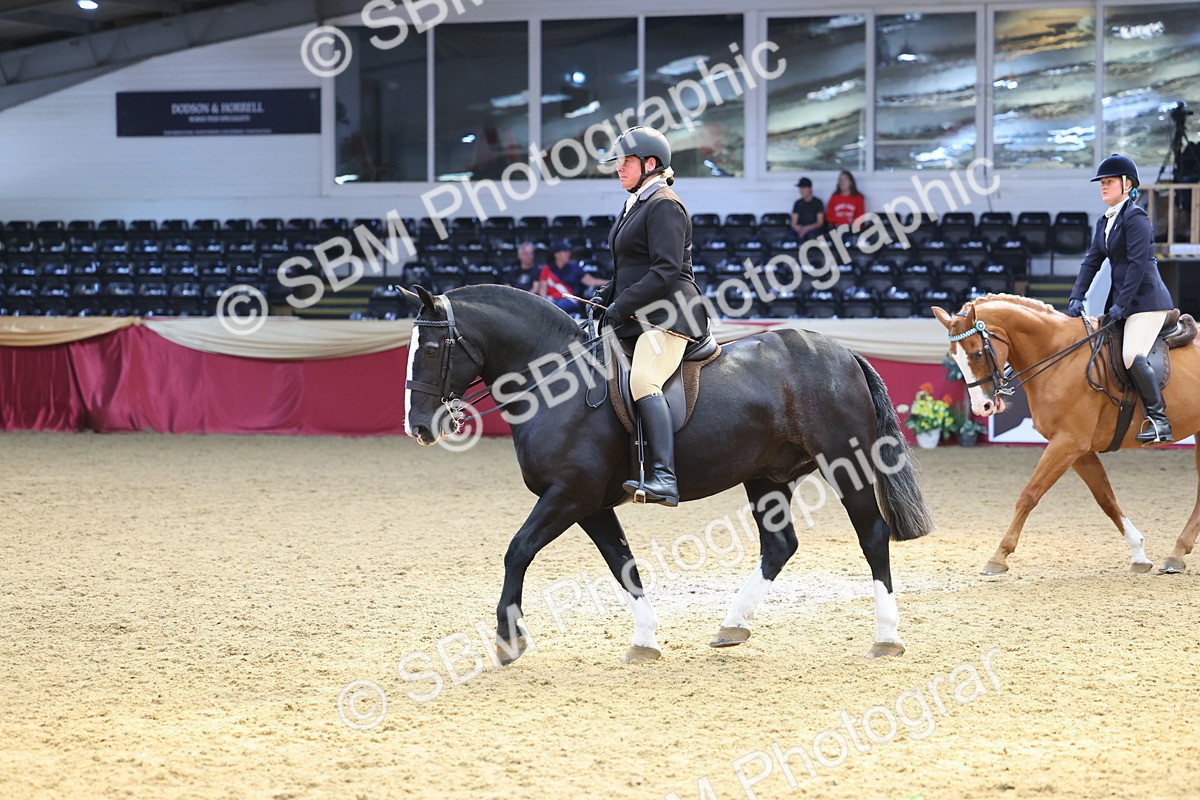 SBM_24083 - Class 905 - Supreme Final - Ridden Veteran