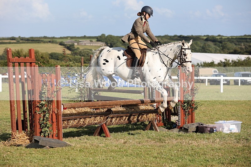 JPP_3172 - Class 21: Working Hunter 80cm