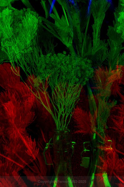 STILL LIFE-CYCLE - STILL LIFE-CYCLE I 2012