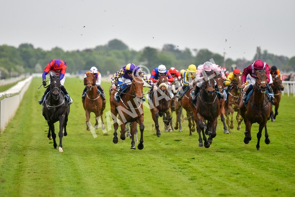 190523-Race 6-Eligible-1016 - Race 6 4.45pm Yorkshire Equine Practice Handicap