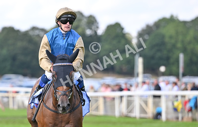 220826-015 Archivist - Race 1 13.50pm Sky Bet Strensall Stakes