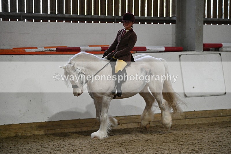 WJ7_4199 - Class 17 Ridden Cob