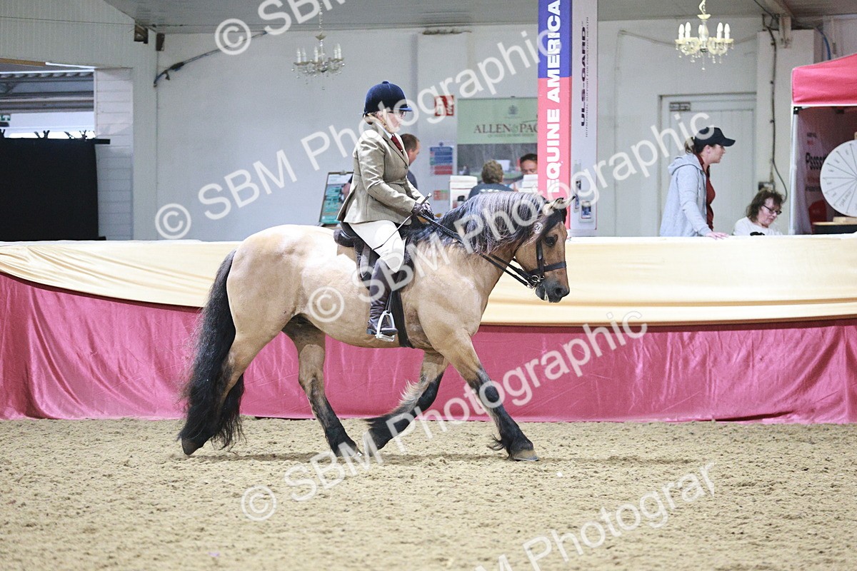 SBM_08117 - Class 11R - Regional Ridden Veteran