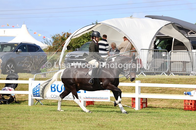 3E7A9839 - Class 5: Rising Star Lightweight/Heavyweight Cobs