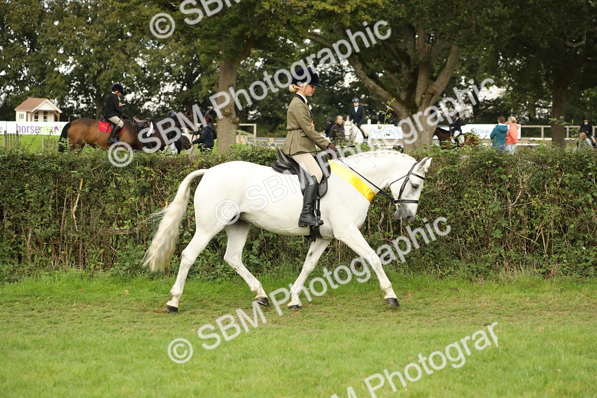 SBM_75349 - Equitation Supreme Championship