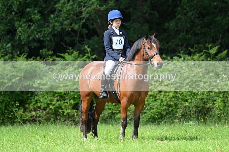 WJ7_1139 - Class 11 Condition & Turnout