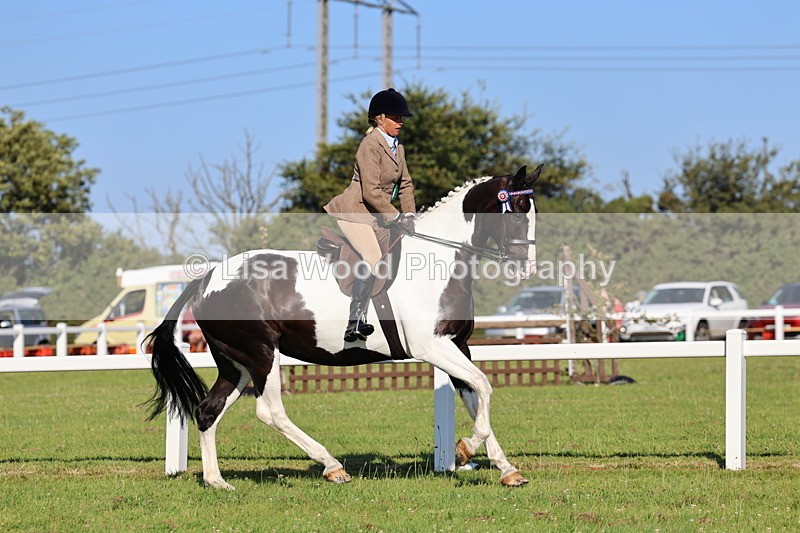 IMG_1361 - Class 27: Ridden Plaited Coloured Horse