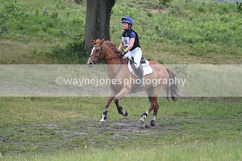 WJ7_9364 - Time 11:26 to 11:40