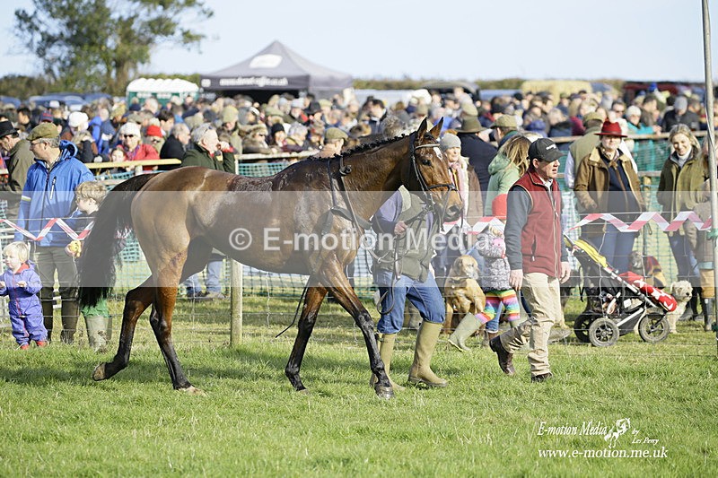 PtP 300122 289 - South Dorset Hunt - Point-to-Point Races 30/01/2022