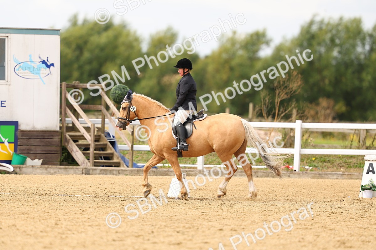 SBM_012219 - Class 2 - Prelim 19 11.39-12.56