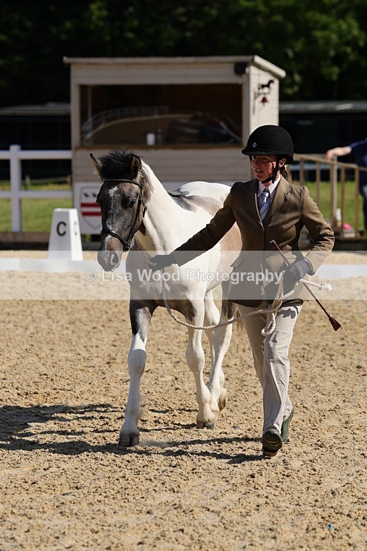 1X9A0673 - Class 3: Youngstock 1, 2, 3 year old not to exceed 153cm