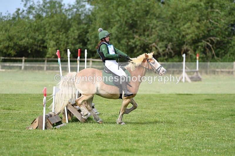 WJ5_2318 - Class 2 40cm