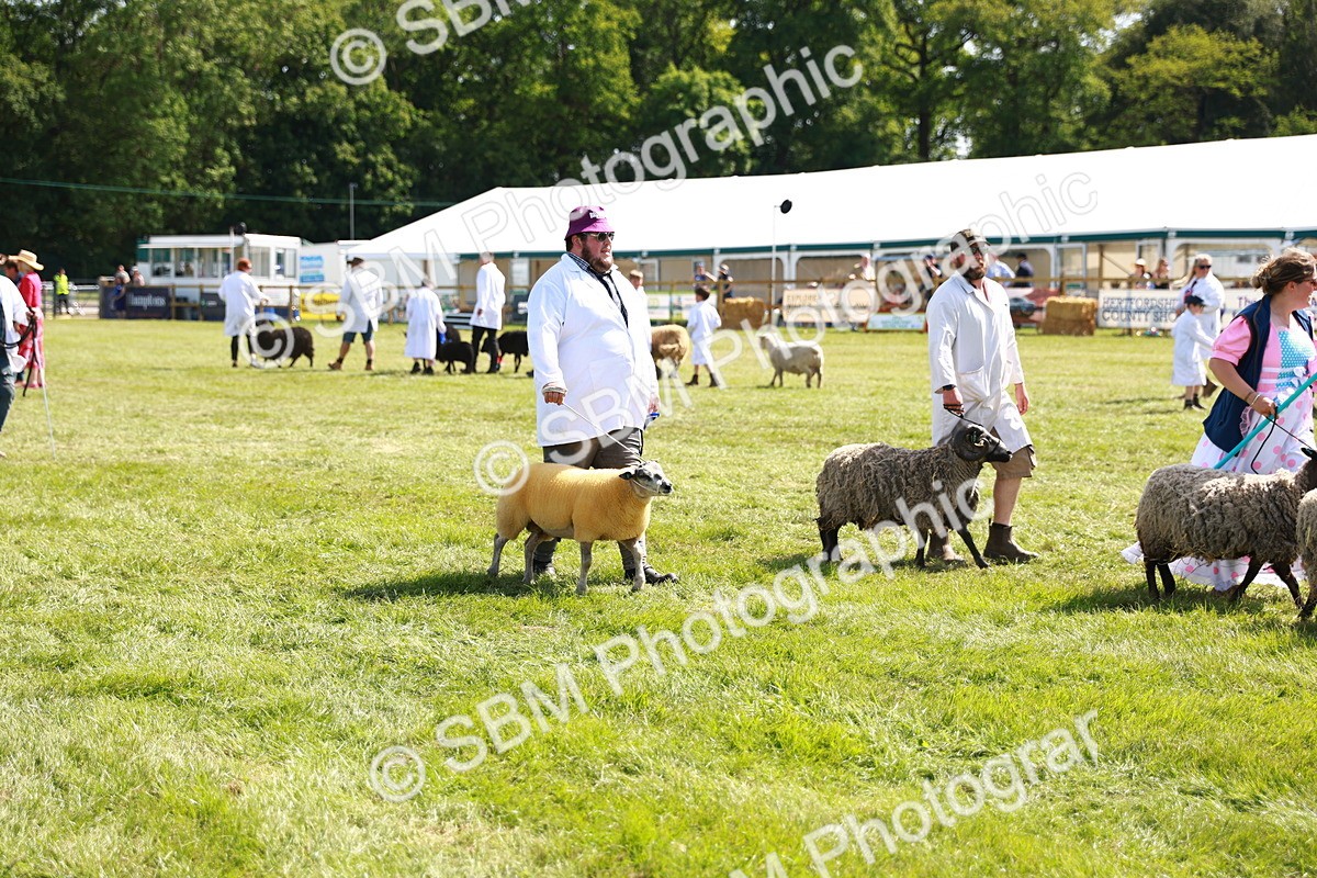 SBM_08381 - Grand Parade