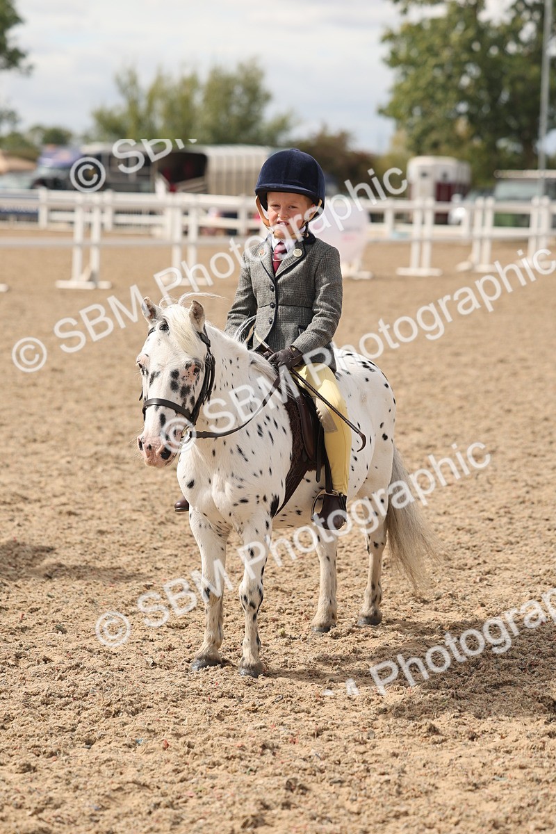 SBM_15895 - Class 310 - First Ridden Pony