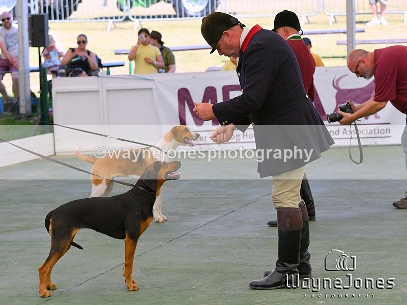 WJ5_0972 - Berks & Bucks at the Great Yorkshire Show 2025