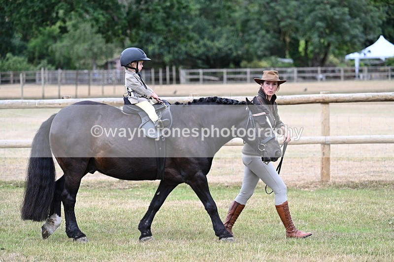 WJ7_9672 - Class 1 Lead Rein Pony