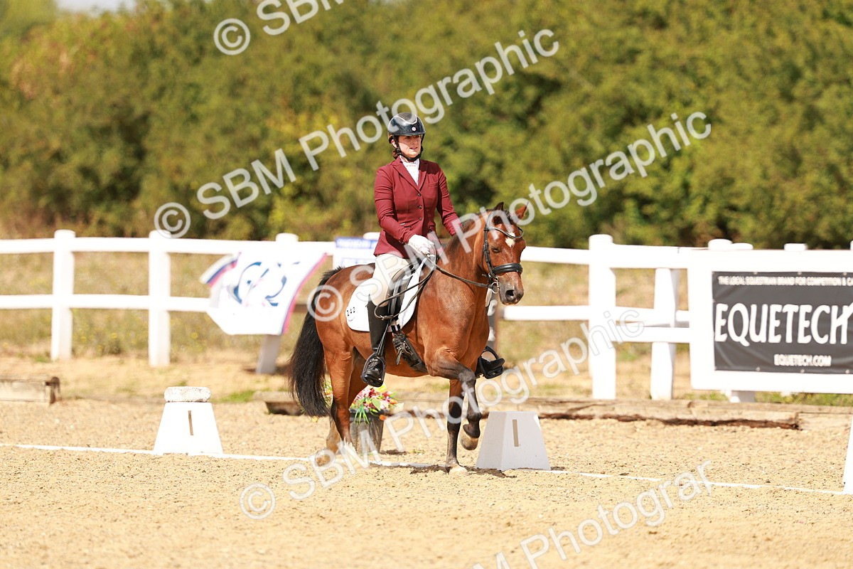 SBM_018629 - Class 9 - N5 Bronze 11.57.13.07