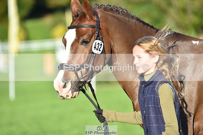 231022-100512-22238 - 432-DALEY-Oona.Gowan-TrotUp+SJ