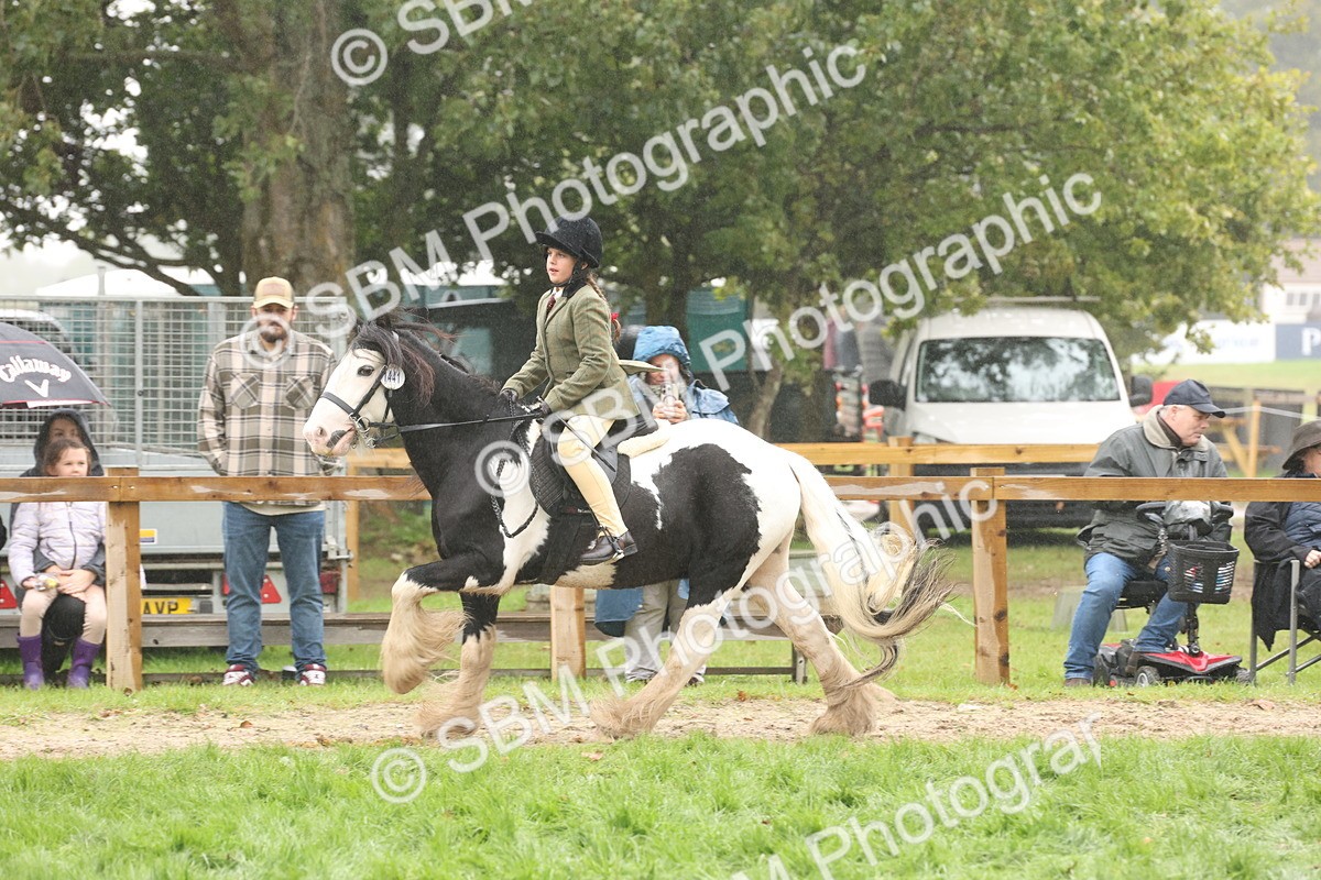 SBM_72845 - S70 - Traditional Cob Ridden