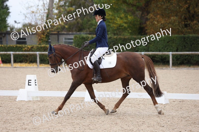 20250820-1255 - Class 18 - Elementary 5