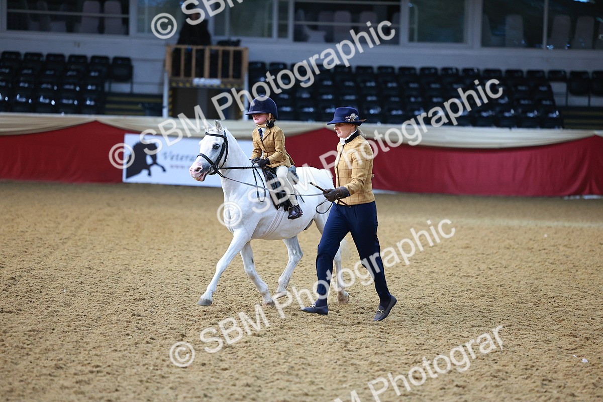 SBM_07708 - Class 101 - HOYS Veteran Qualifier - Ridden Diamond