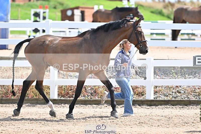 240717A-150932-02589 - Trot Up 3pm to 4pm
