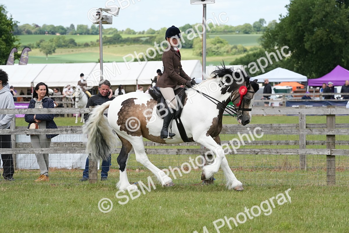 SBM_17664 - Class 107-108 - LIHS BSPS Performance Coloured Horse Pony