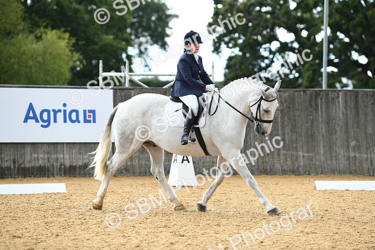 SBM_12463 - D19 Small Tour Championship Elementary 42