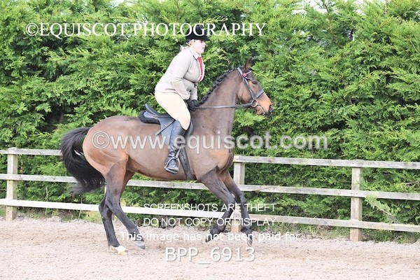 BPP_6913 - RING 1  (RIDDEN HORSES / IN HAND / VETERAN ETC)