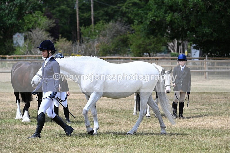 WJ7_1587 - Class 4 Prettiest Mare up to 14.2hh in hand