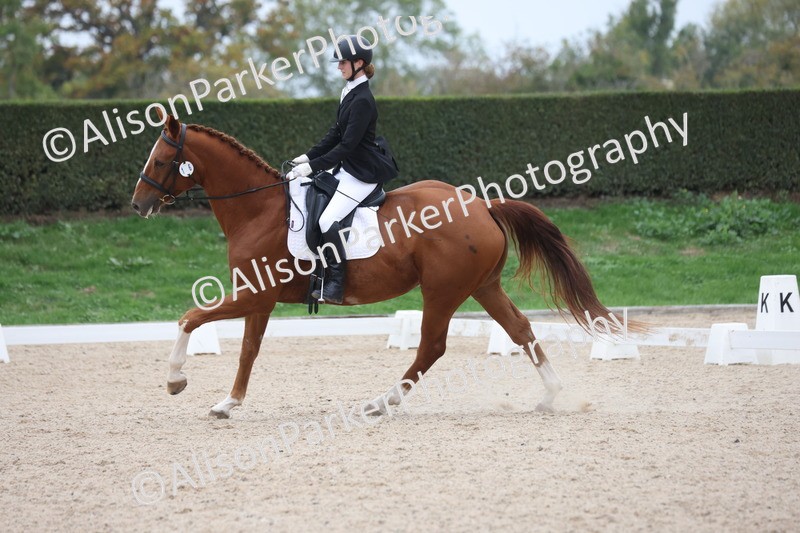 20251011-0552 - Class 6 - Elementary 1