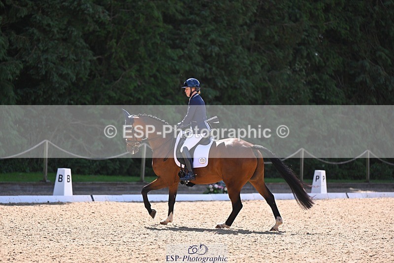 240809-111536-00537 - 133-Dawn.Bear-First.Taylor.Made