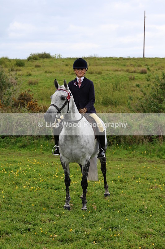 3E7A2124 - Class 11: Ridden Arab