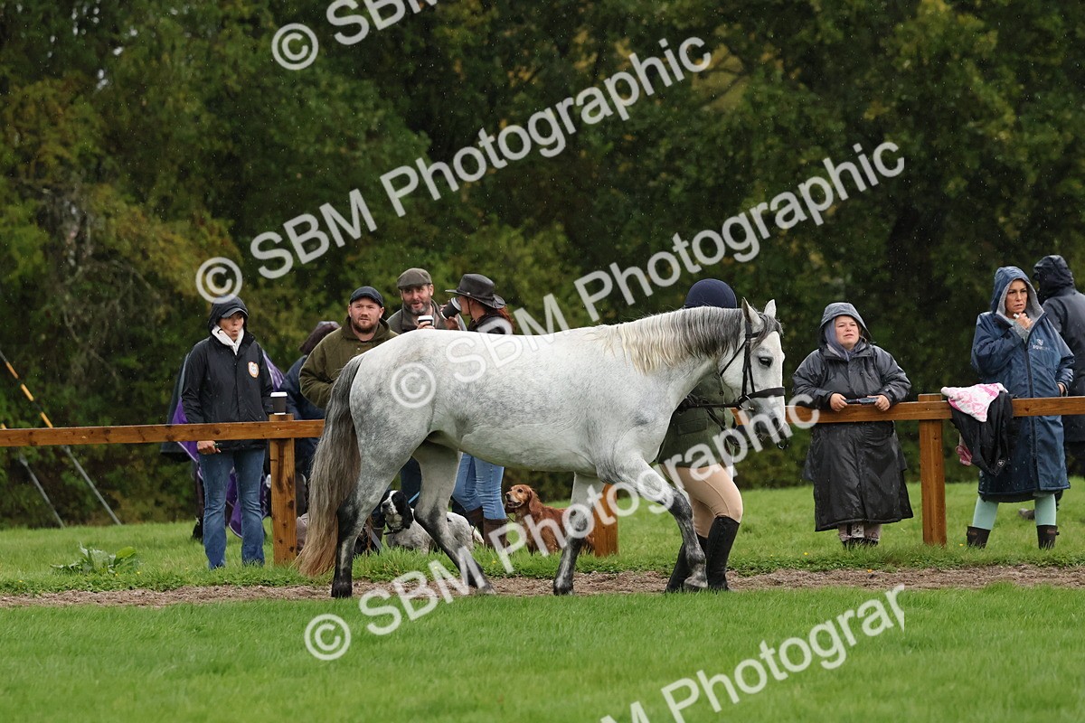 SBM_35270 - S10 - Best In Hand Horse & Pony
