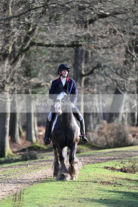 WJ7_7785 - Line 3 (no line 4 or 5)